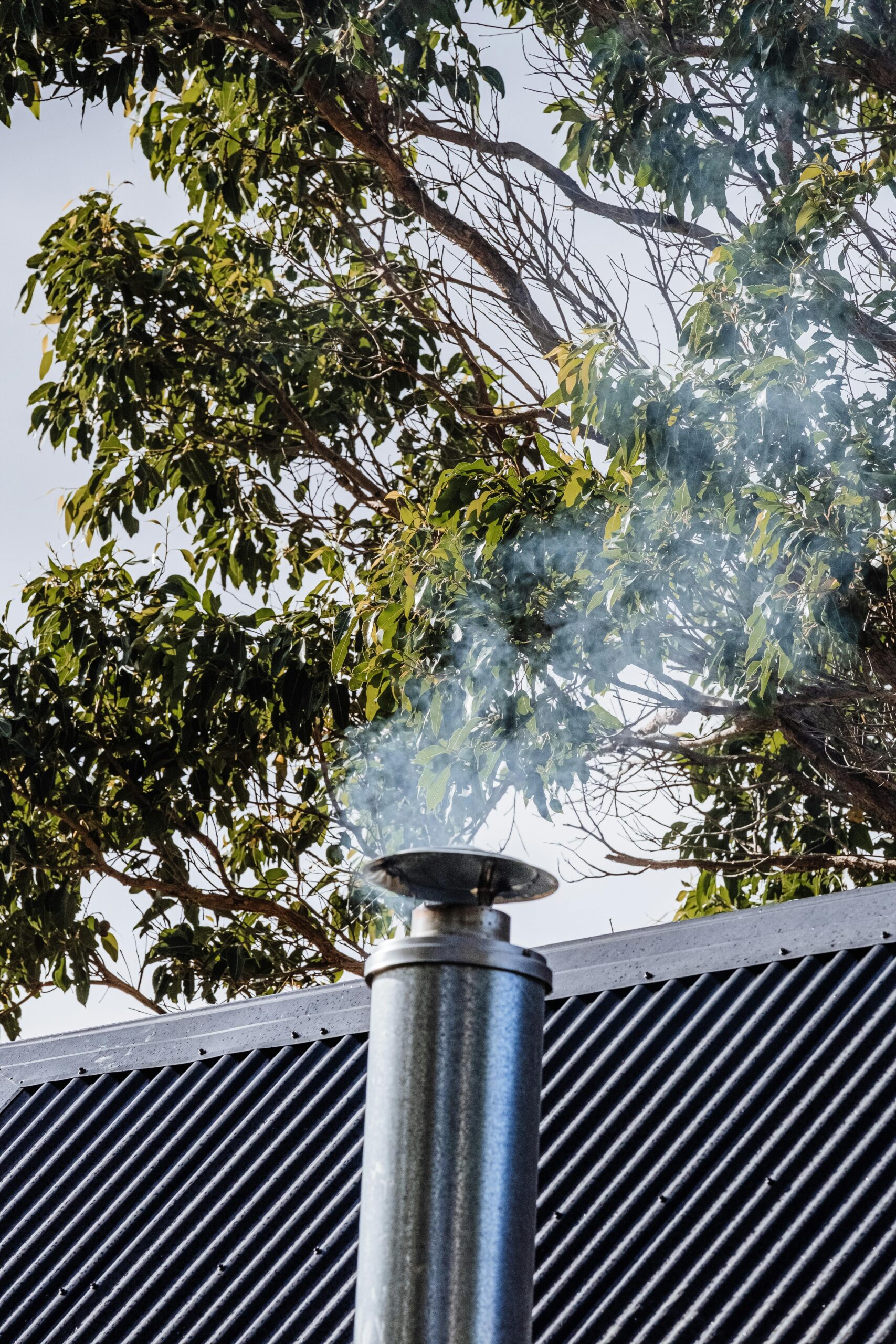 Vertical shot of a chimney releasing smoke with leafy trees in the background, ideal for environmental themes.